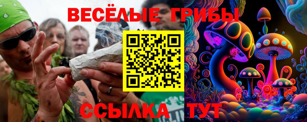 Псилоцибиновые грибы Psilocybine cubensis  Вход с VPN  Назарово  Галлюциногенные грибы GOLDEN TEACHER 