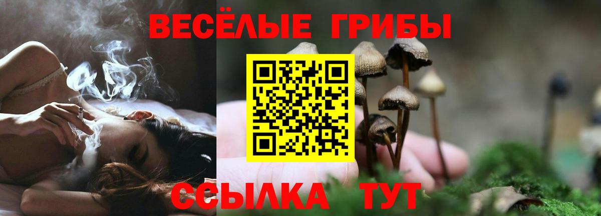 Псилоцибиновые грибы Psilocybe Назарово